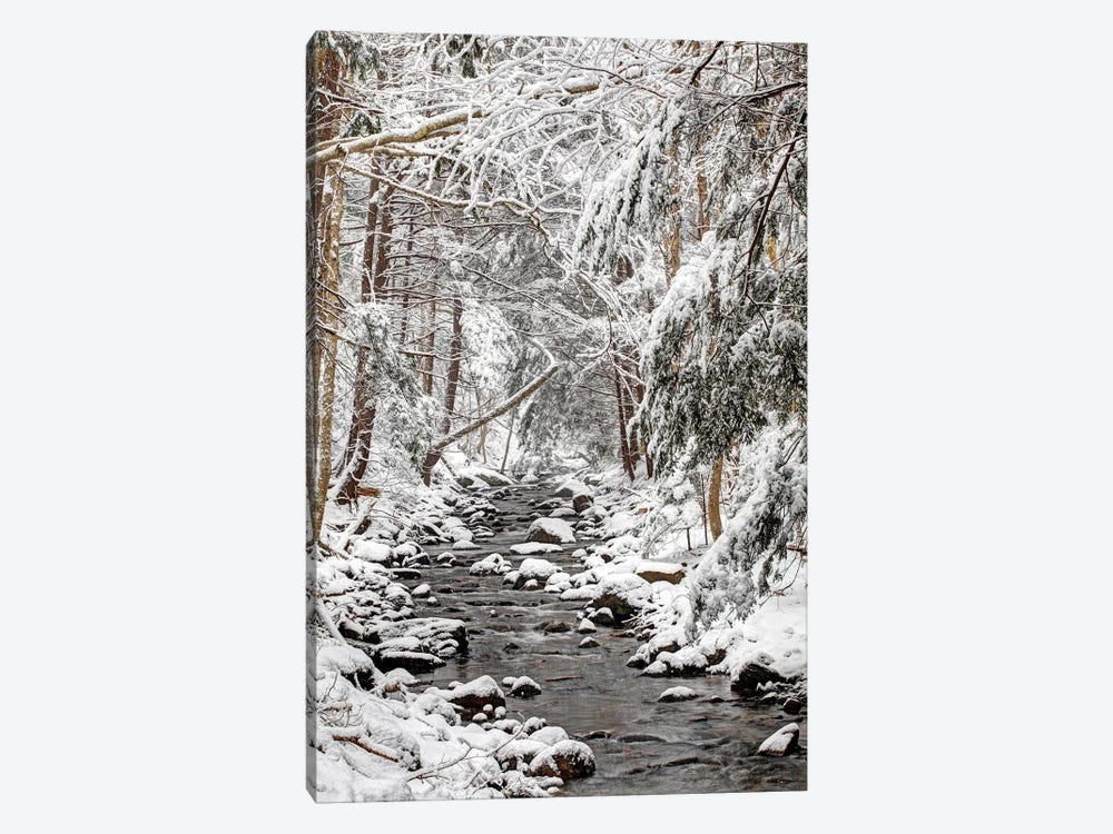 Stream In Winter, Nova Scotia, Canada - Vertical by Scott Leslie 1-piece Canvas Print