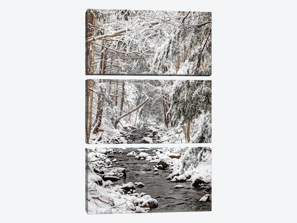 Stream In Winter, Nova Scotia, Canada - Vertical by Scott Leslie 3-piece Canvas Print