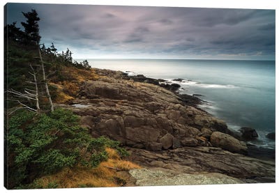 Coast At Dusk, Bay Of Fundy, Canada Canvas Art Print - Scott Leslie
