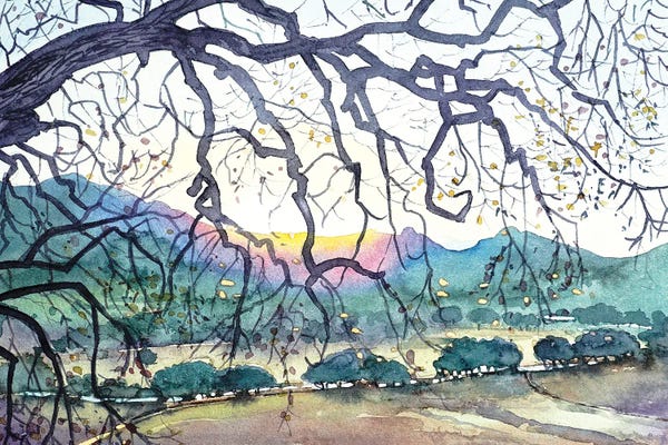 Luisa Millicent: Winter - Malibu Creek by Luisa Millicent