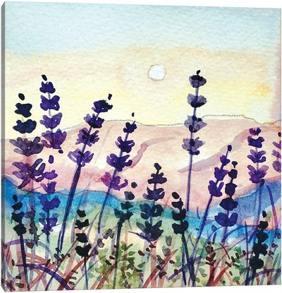 Seedheads On Topanga Skyline Canvas Art Print - Luisa Millicent