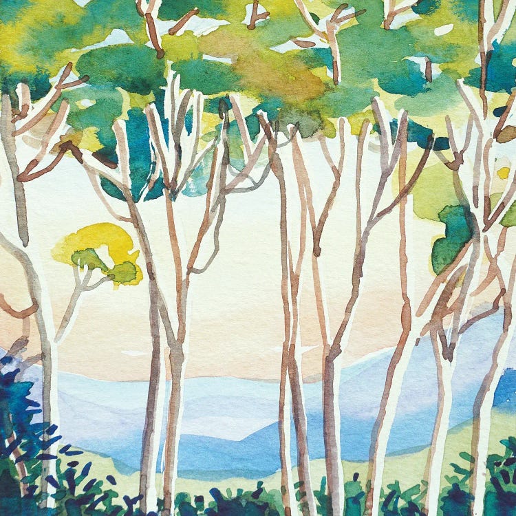 Eucalyptus Sunset