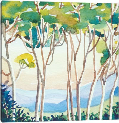 Eucalyptus Sunset Canvas Art Print - Eucalyptus Art