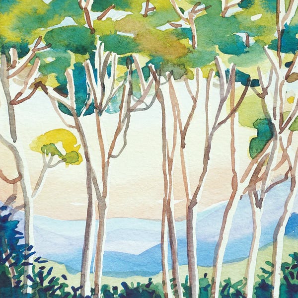 Lake Sunrises & Sunsets: Eucalyptus Sunset by Luisa Millicent