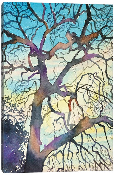 Oak At Red Rock Canvas Art Print - Luisa Millicent