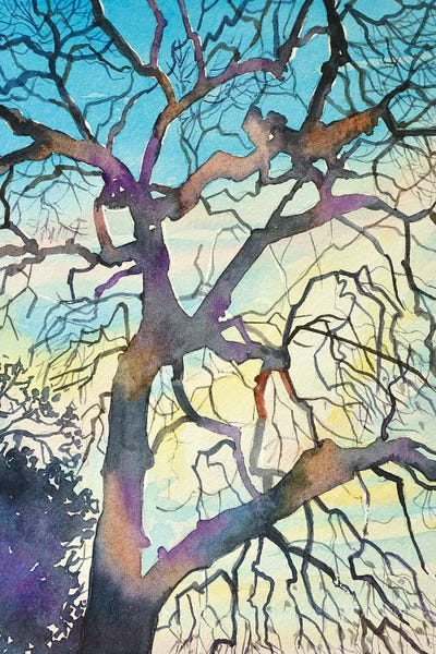 Oak Trees: Oak At Red Rock by Luisa Millicent