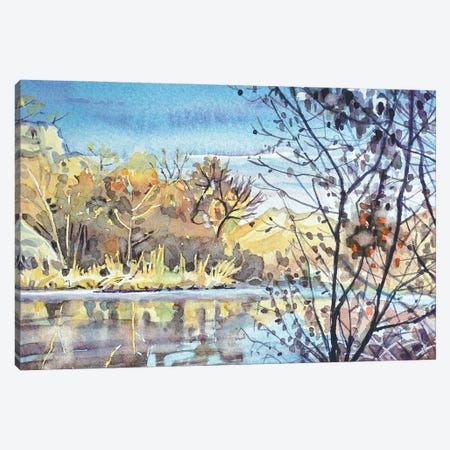 Century Lake - November Morning Canvas Print #LSM121} by Luisa Millicent Canvas Art