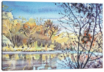 Century Lake - November Morning Canvas Art Print - Luisa Millicent