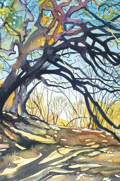 Oaks - Paramount Ranch by Luisa Millicent art print