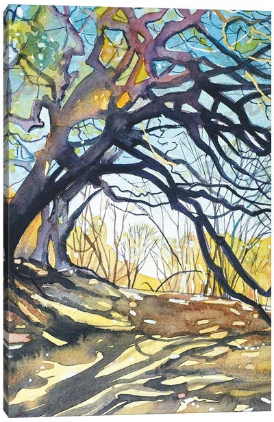 Oaks - Paramount Ranch Canvas Art Print - Oak Tree Art