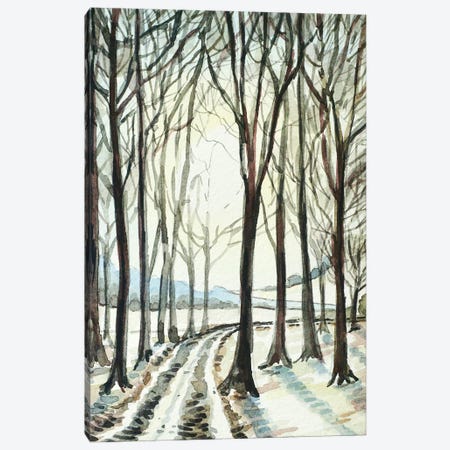 Winter Wood Canvas Print #LSM124} by Luisa Millicent Canvas Print