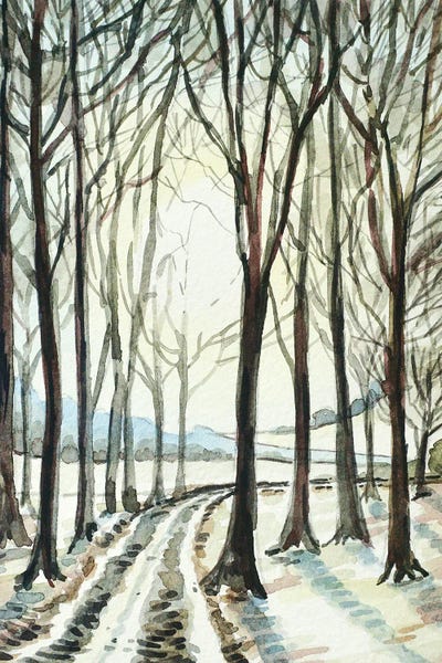 Trees: Winter Wood by Luisa Millicent