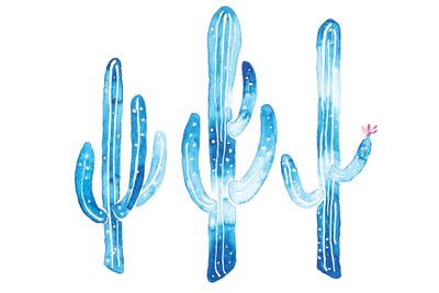 Blue Cactus by Luisa Millicent canvas print