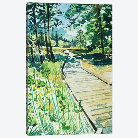 Yosemite Valley Trail Canvas Print #LSM132} by Luisa Millicent Art Print