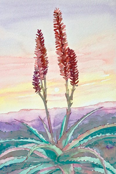 Topanga Sunset #2 by Luisa Millicent canvas print