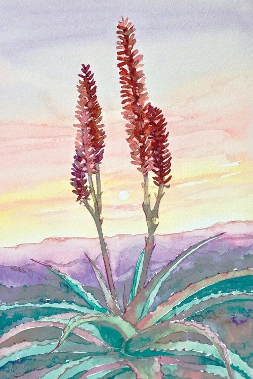 Topanga Sunset #2