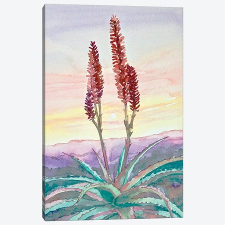 Topanga Sunset #2 Canvas Print #LSM138} by Luisa Millicent Art Print