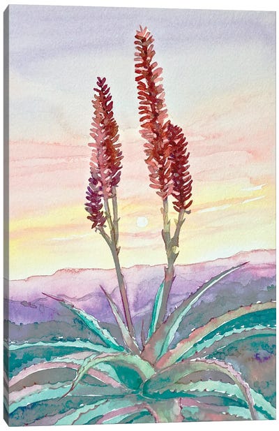 Topanga Sunset #2 Canvas Art Print - Luisa Millicent