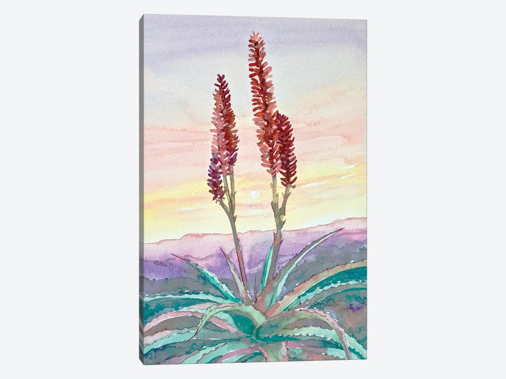 Topanga Sunset #2 by Luisa Millicent 1-piece Canvas Art Print