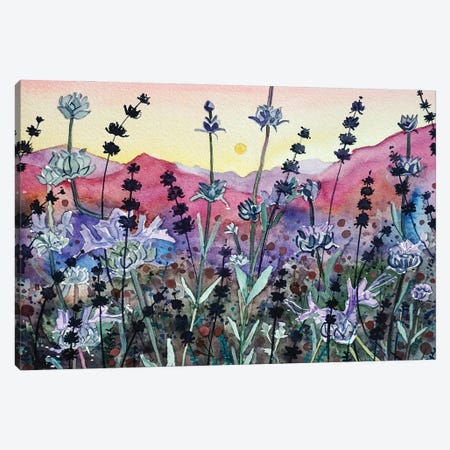 Seed Head Sunset Canvas Print #LSM143} by Luisa Millicent Canvas Wall Art