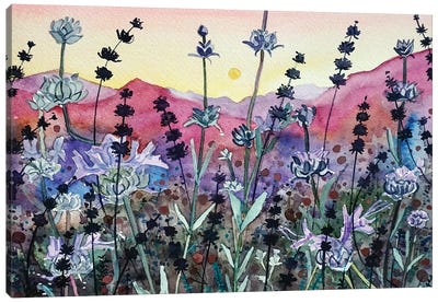 Seed Head Sunset Canvas Art Print - Luisa Millicent
