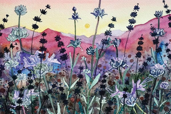 Landscapes In Bloom: Seed Head Sunset by Luisa Millicent