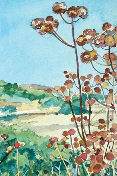 Luisa Millicent: Peter Strauss Seed Heads by Luisa Millicent