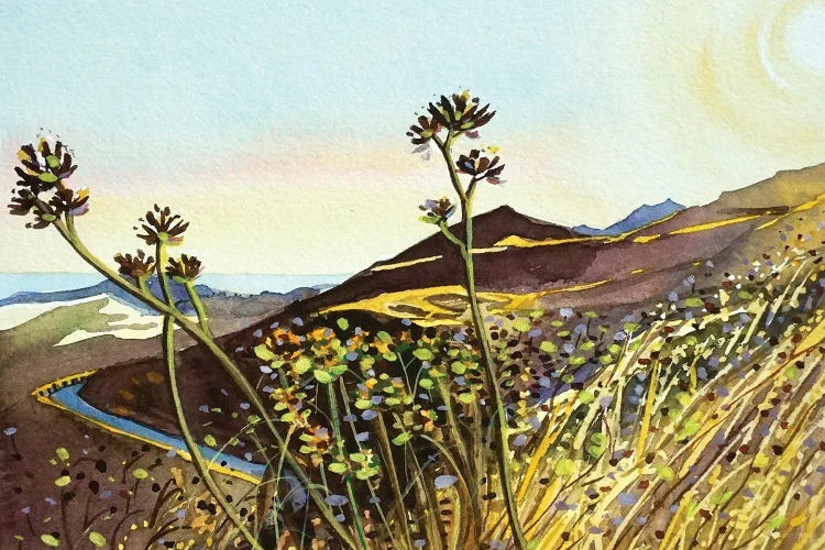 MisheMocka Trail
