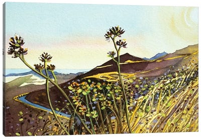 MisheMocka Trail Canvas Art Print - Luisa Millicent