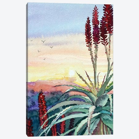 Topanga Sunset #4 Canvas Print #LSM147} by Luisa Millicent Art Print