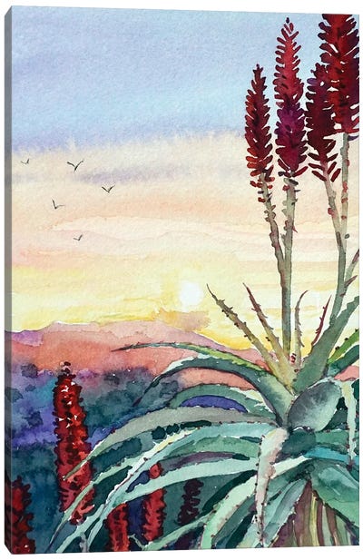 Topanga Sunset #4 Canvas Art Print - Luisa Millicent