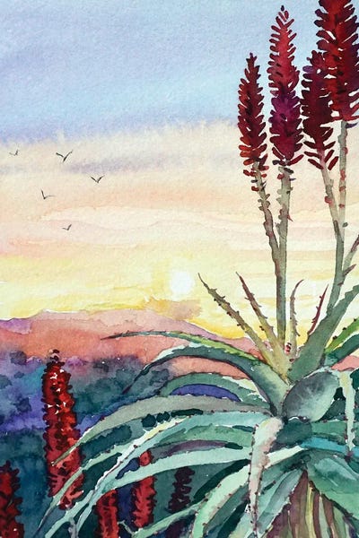 Southwest Décor: Topanga Sunset #4 by Luisa Millicent