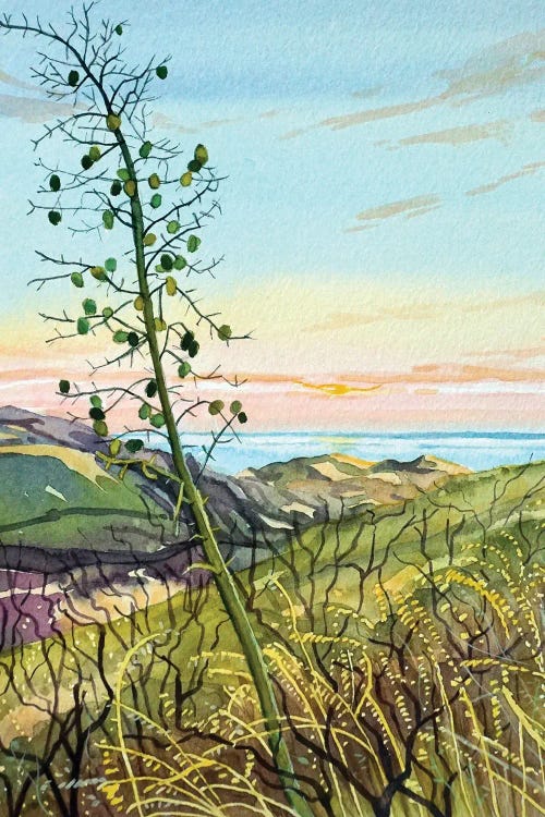 Chaperral Yucca by Luisa Millicent wall art