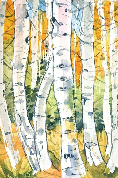 Autumn Birch Trees