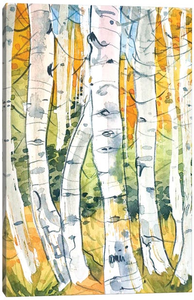 Autumn Birch Trees Canvas Art Print - Luisa Millicent