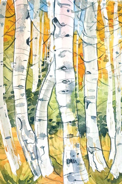 Birch Trees: Autumn Birch Trees by Luisa Millicent