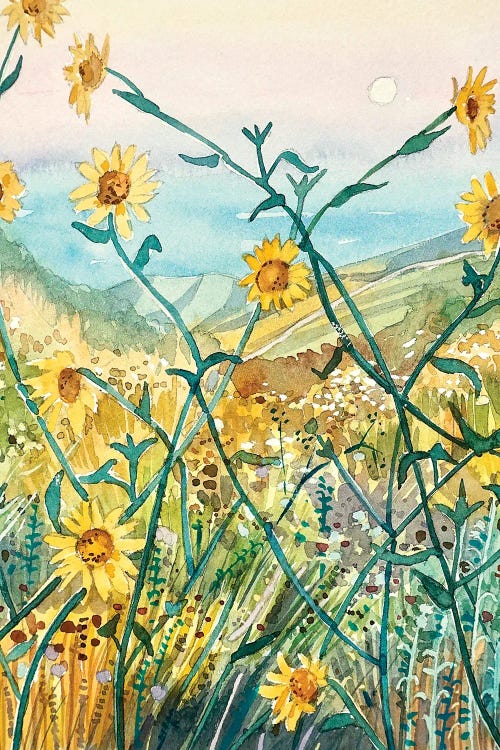 Yellow Daisies