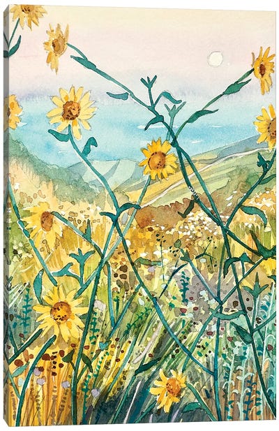 Yellow Daisies Canvas Art Print - Luisa Millicent