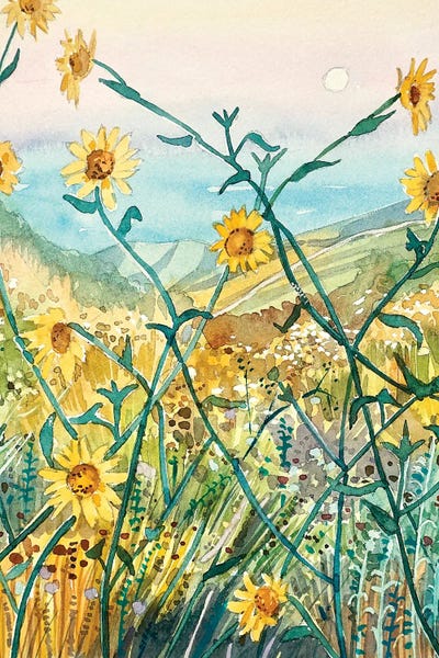 Daisies: Yellow Daisies by Luisa Millicent