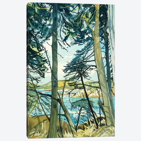 Point Lobos Pines Canvas Print #LSM176} by Luisa Millicent Canvas Wall Art