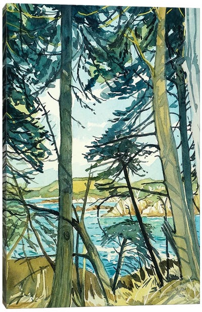 Point Lobos Pines Canvas Art Print - Luisa Millicent