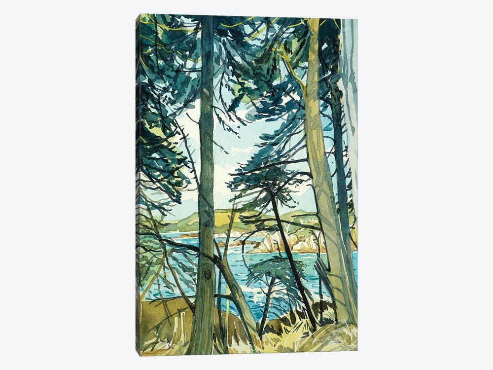 Point Lobos Pines by Luisa Millicent 1-piece Canvas Art Print