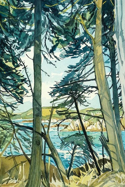 Luisa Millicent: Point Lobos Pines by Luisa Millicent