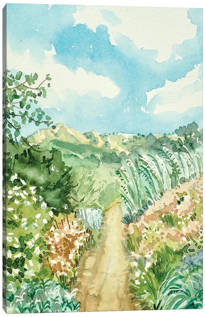 Secluded Path Canvas Art Print - Luisa Millicent