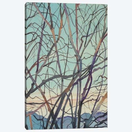 Bare Winter Branches Canvas Print #LSM187} by Luisa Millicent Art Print