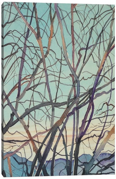 Bare Winter Branches Canvas Art Print - Luisa Millicent