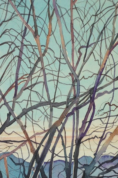 Bare Winter Branches