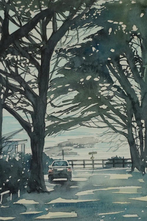 Carmel Monterey Pines by Luisa Millicent wall art