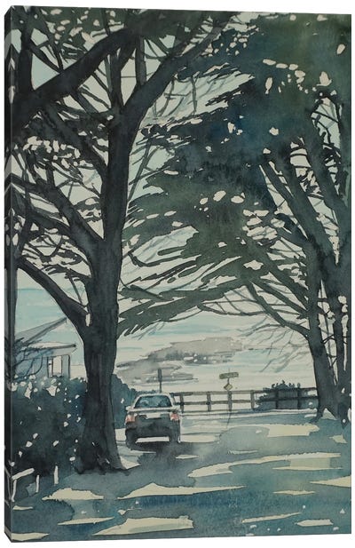 Carmel Monterey Pines Canvas Art Print - Luisa Millicent
