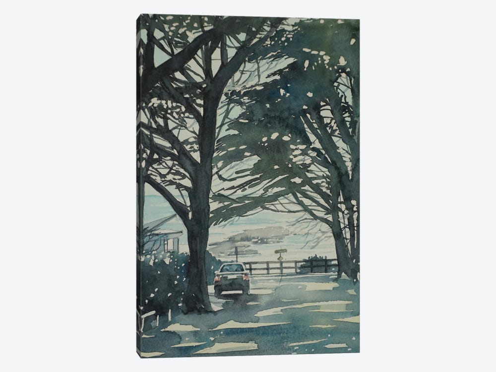 Carmel Monterey Pines by Luisa Millicent 1-piece Canvas Art Print